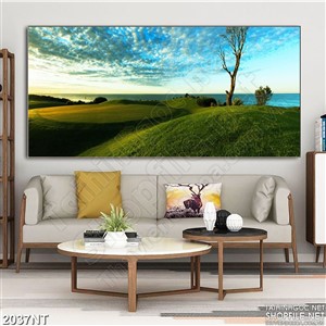 Tranh cánh đồng cỏ treo tường