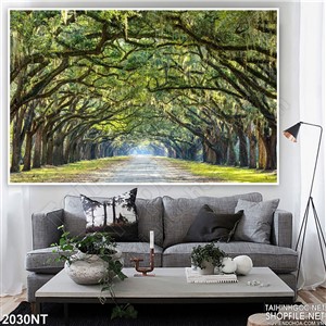 Tranh hàng cây cổ thụ treo tường