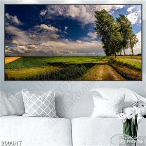 Tranh bóng trâm trên đồng cỏ