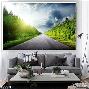 Tranh hàng cây bạch dương in uv