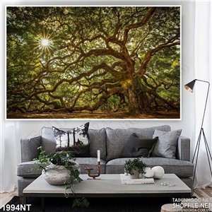 Tranh cây cổ thụ ma mị treo tường