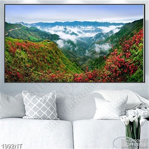 Tranh thung lũng đầy hoa và mây