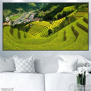 Tranh đồng ruộng bậc thang nhìn từ xa
