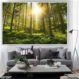 Tranh rừng cây ngập ánh nắng