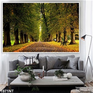 Tranh lối đi trong khu rừng vắng