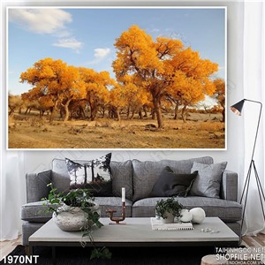 Tranh cánh rừng  lá vàng