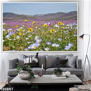 Tranh cánh đông hoa trên đồi