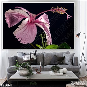 Tranh hoa dâm bụt hồng