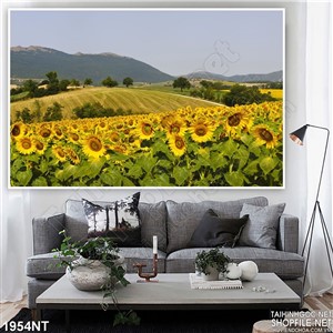 Tranh đồi hoa mặt trời 3d