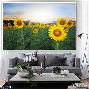 Tranh rừng hoa mặt trời treo tường