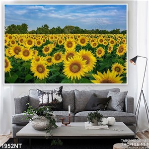 Tranh hoa mặt trời đón nắng in uv