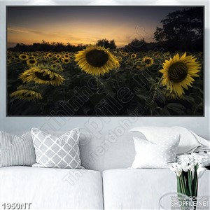 Tranh màn đêm u buồn và hoa mặt trời