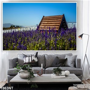 Tranh ngôi nhà giữa cánh đồng hoa