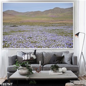 Tranh treo tường thung lũng hoa tím