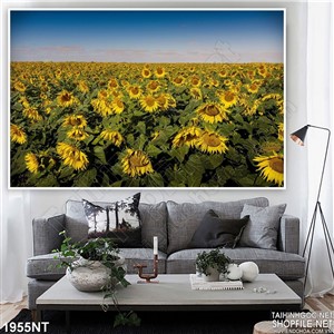 Tranh đồng hoa mặt trời tàn úa