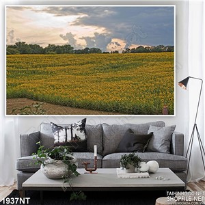 Tranh đồng hoa treo tường