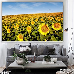 Tranh cánh đồng hoa ngút ngàn