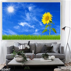 Tranh in 3d bầu trời trong xanh