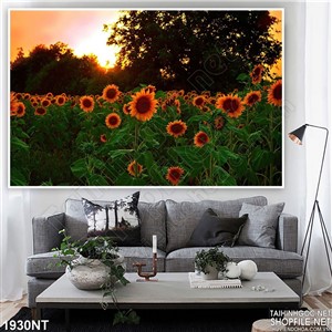 Tranh hoàng hôn trên đồng hoa