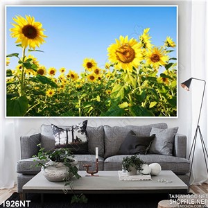 Tranh cánh đồng hoa hướng dương