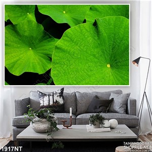 Tranh những chiếc lá sen