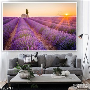 Tranh cánh đồng hoa tím trên tường
