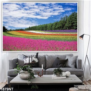 Tranh cánh đồng muôn sắc hoa