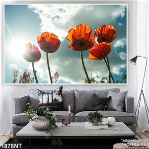 Tranh hoa đỏ trên nền trời