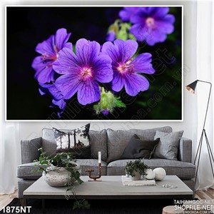 Tranh hoa tím trên nền đen