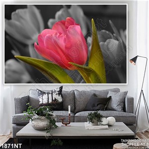 Tranh 3d bông hoa tulip hồng