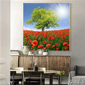 Tranh cánh đồng tulip