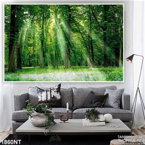 Tranh rừng cây đón bình minh