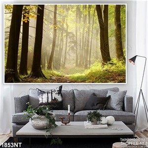 Tranh khu rừng sương mờ