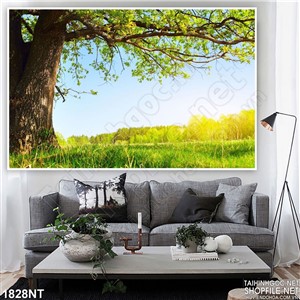 Tranh gốc cây bìa rừng