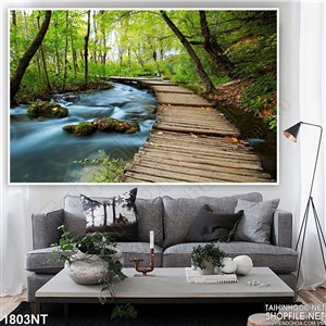 Tranh cầu gỗ trên suối