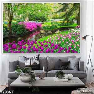Tranh mùa hoa tulip tím