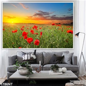 Tranh caánh đồng hoa xế chiều