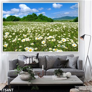 Tranh thác nước hiền hòa