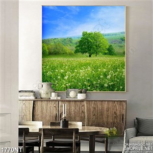 Tranh đồng cỏ xanh in uv