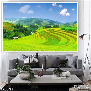 Tranh cánh đồng lúa