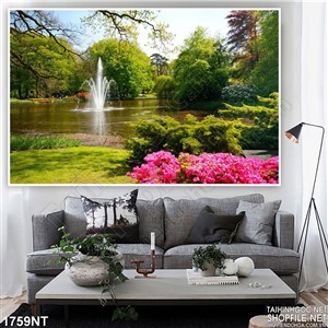 Tranh vòi phun nước