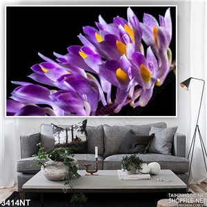 Tranh chùm hoa lan tím trong đêm