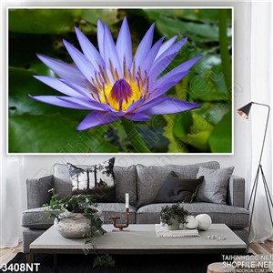 Tranh bông súng tím bên những chiếc lá xanh