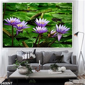 Tranh những bông súng tím trong đầm