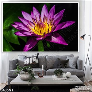 Tranh bông súng khoe sắc trong đêm