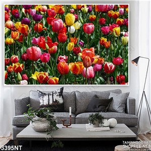 Tranh đồi hoa tulip treo tường