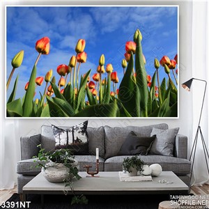 Tranh dưới những tán lá hoa tulip vươn cao