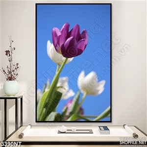 Tranh bông hoa tím che khuất bông hoa trắng