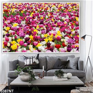 Tranh rừng hoa tulip khoe sắc thắm in uv