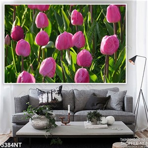 Tranh những bông hoa tulip trong vườn hoa